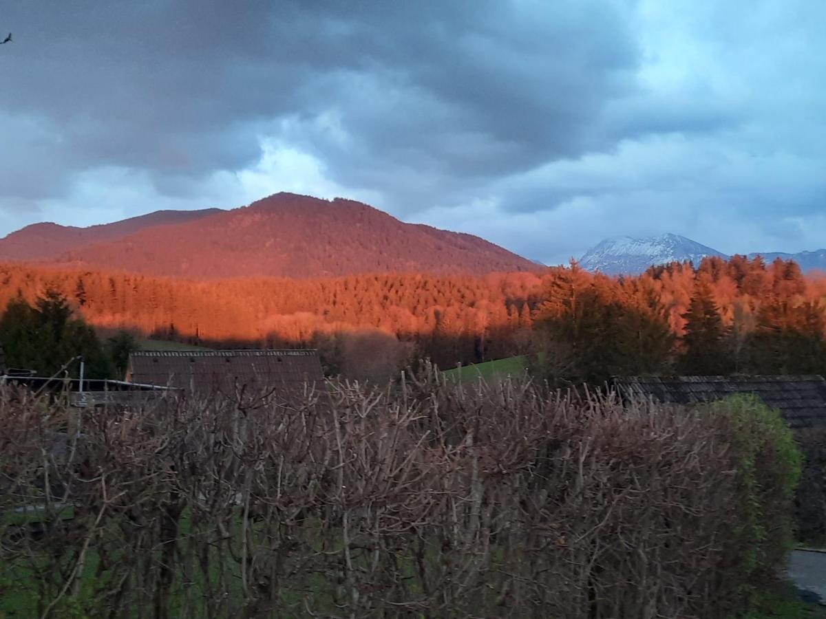 Haus Mit Bergblick Βίλα Siegsdorf Εξωτερικό φωτογραφία
