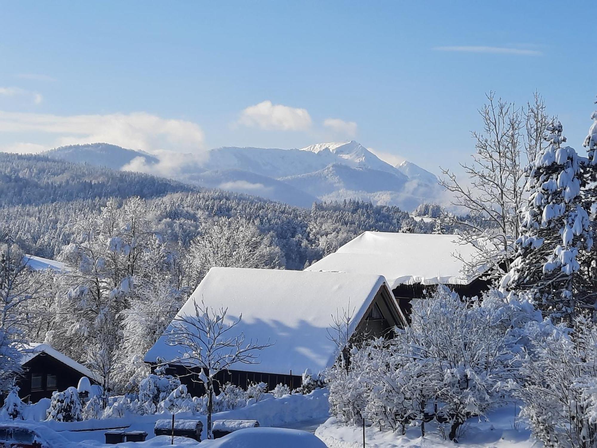 Haus Mit Bergblick Βίλα Siegsdorf Εξωτερικό φωτογραφία