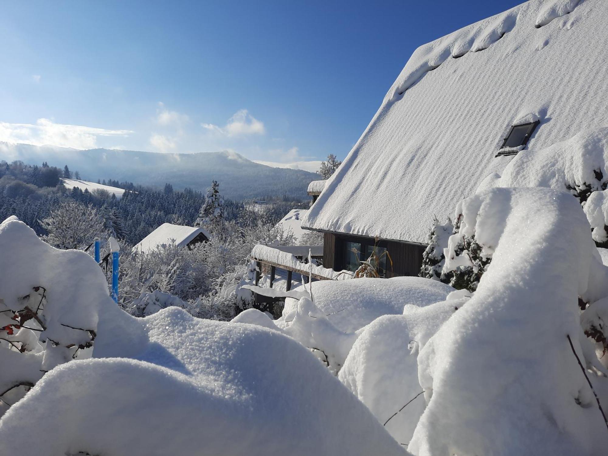 Haus Mit Bergblick Βίλα Siegsdorf Εξωτερικό φωτογραφία