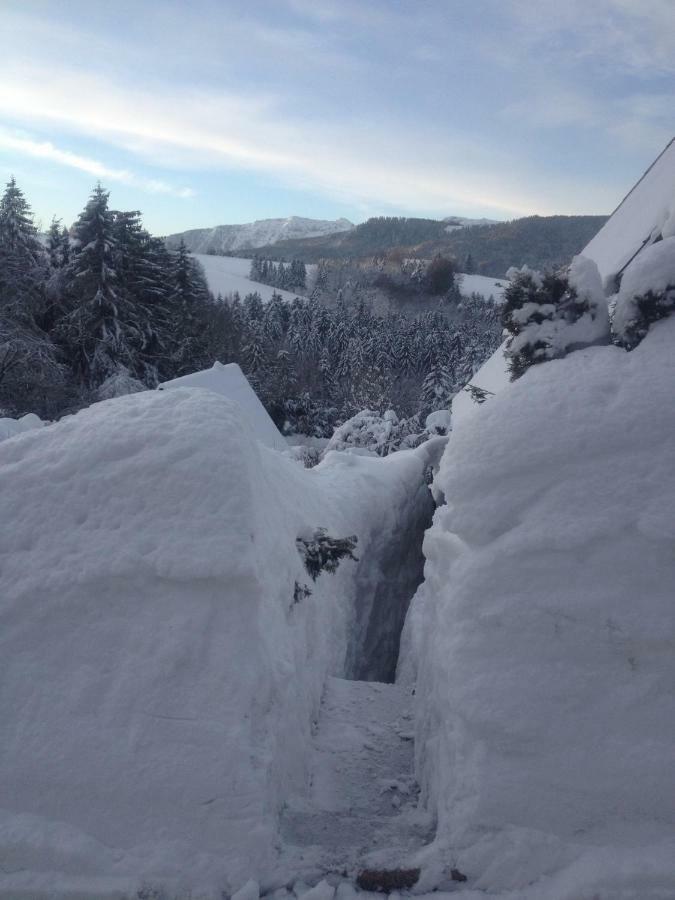 Haus Mit Bergblick Βίλα Siegsdorf Εξωτερικό φωτογραφία